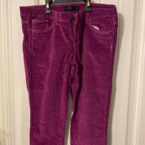 Royal Blue Alloy cord straight leg jeans